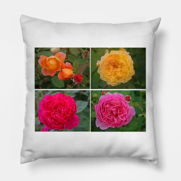 All Kinds of Roses, July 2021 Pillow by RedHillDigital