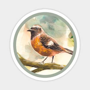 bird Illustration Magnet