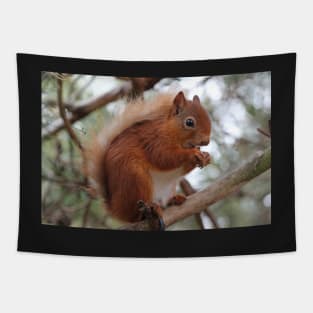 Red squirrel Tapestry