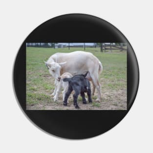 Mom and baby goats Pin