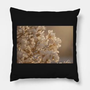 Magnolia at Sunrise (Landscape) Pillow