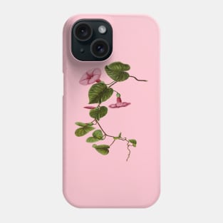 Pilikai Hawaiian Stictocardia tiliaefolia Botanical Vector Art Phone Case