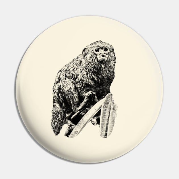 Marmoset Pin by Guardi