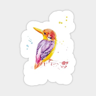 watercolor kingfisher bird drawing Magnet