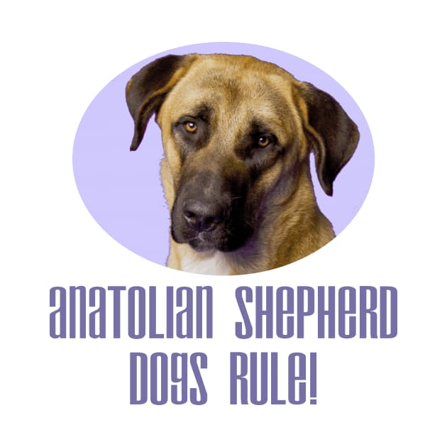 Anatolian Shepherd Dogs Rule! by Naves