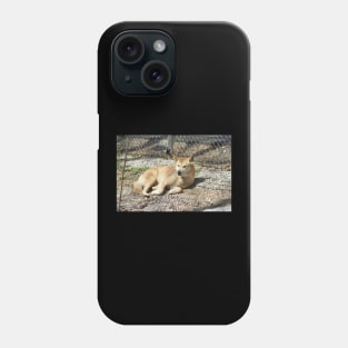 Dingo Phone Case