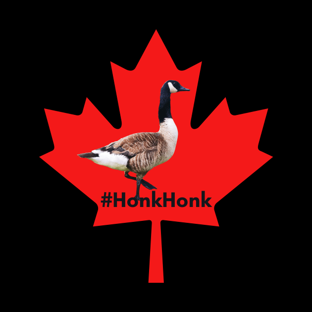 Canada Goose Honk by Kyarwon