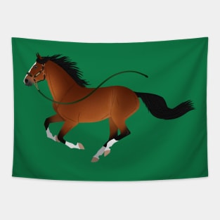 Runaway Bay - Equine Rampaige Tapestry