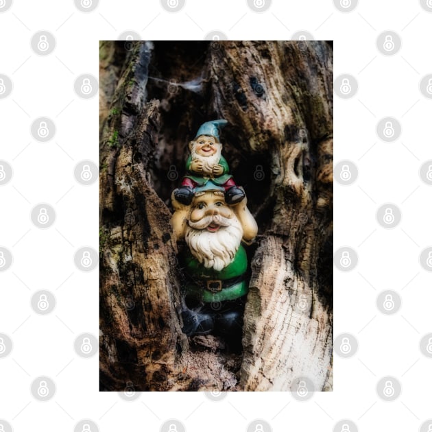 Woodland Gnomes 3 by Robert Alsop