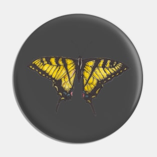 Big beautiful yellow butterfly Machaon Pin