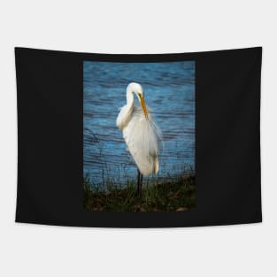 Eastern Great Egret, Maleny, Queensland Tapestry