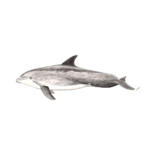 Bottlenose dolphin Tursiops truncatus T-Shirt