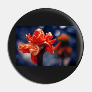 Exotic Flower Etlingera Elatior Pin