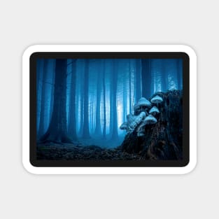 Blue Misty Forest View with Mushrooms Magnet