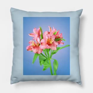 A bunch of pink Alstroemeria Lilly Pillow