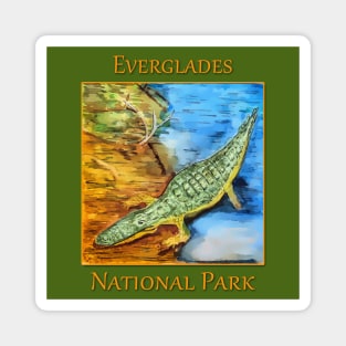 Everglades National Park, Crocodile Magnet