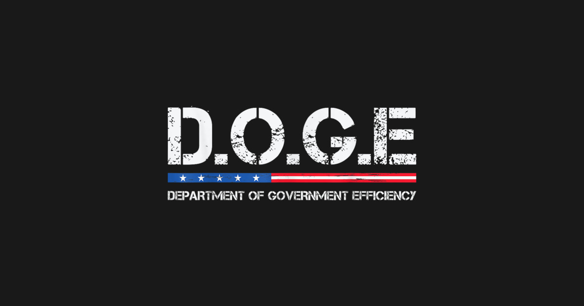 DOGE Department of Government Efficiency Department Of Government