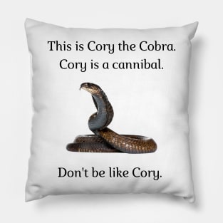 Don't be like Cory! Pillow