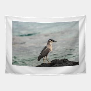 Black-crowned night heron of hawaii 4 Tapestry