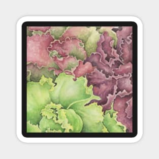 Lettuce Mix Magnet