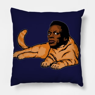 Cool Cat Pillow