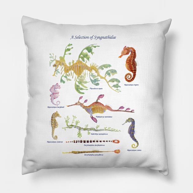 Syngnathidae With Type Pillow by laurenpenney