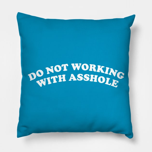 Do Not Working With A##HOLE Pillow by Deadframe