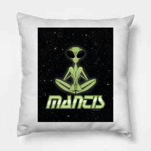 Mantis Pillow