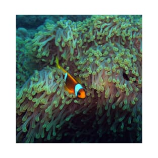 Clownfish in the Sea Anemone T-Shirt