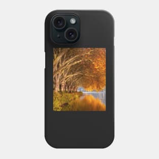 Autumn leaves design Phone Case