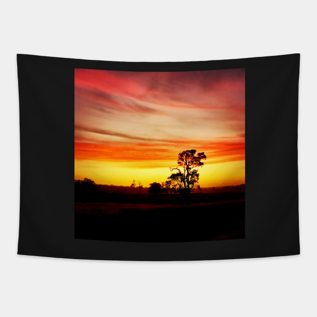 Sunset at Jarvis Estate Vineyard, Margaret River, WA Tapestry by Alchersone-Art