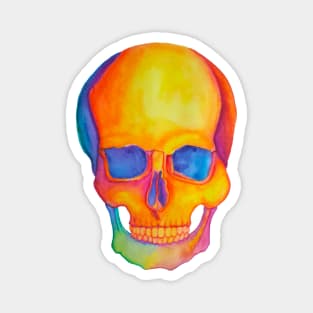 Watercolor skull Magnet