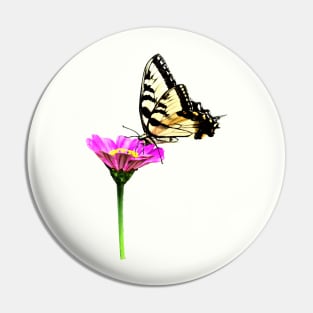 Zinnias - Tiger Swallowtail on Pink Zinnia Pin