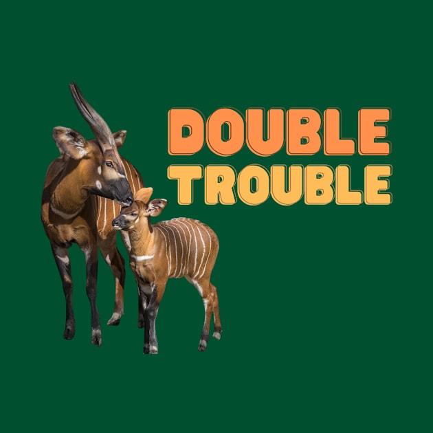 Double Trouble by Finn Dixon