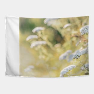 White Yarrow Flowers and Golden Grasses Glowing in Sunshine Tapestry