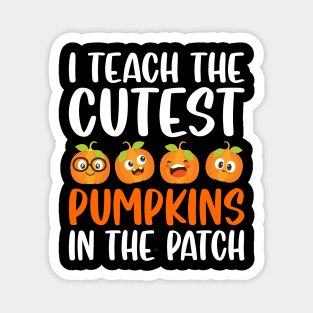 I Teach The Cutest Pumpkins In The Patch Magnet