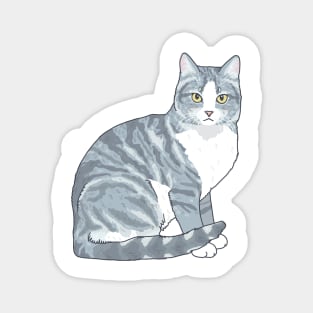 Gray Tabby Cat Magnet