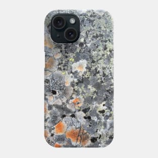 Patchy Stone Phone Case