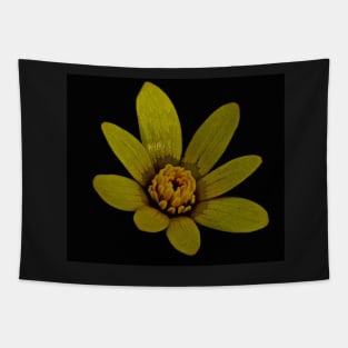 WOODLAND CELANDINE Tapestry