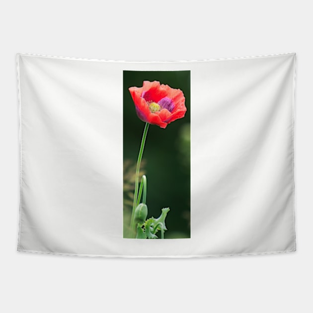 Poppy Tapestry by Avalinart