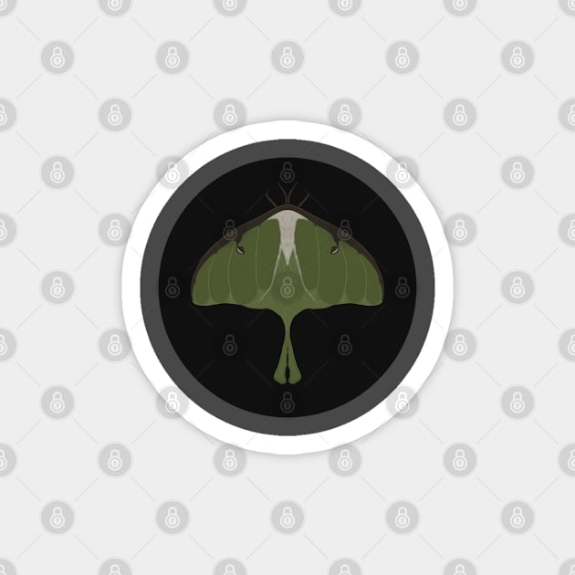 Luna Moth Magnet by Lotus-dreamer