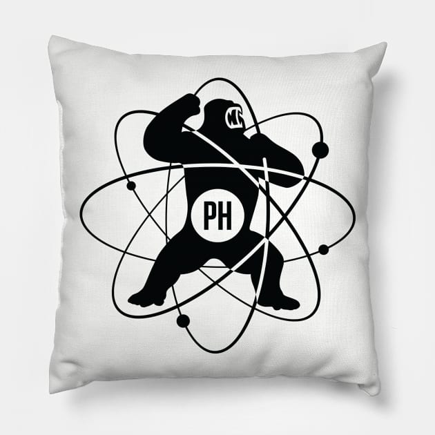 PHYSICS Pillow by mhostetter