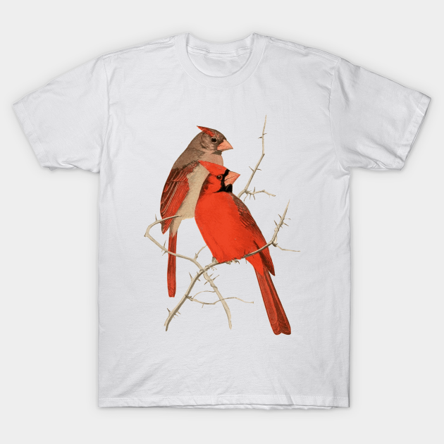 Vintage Cardinals Illustration - Cardinal - T-Shirt