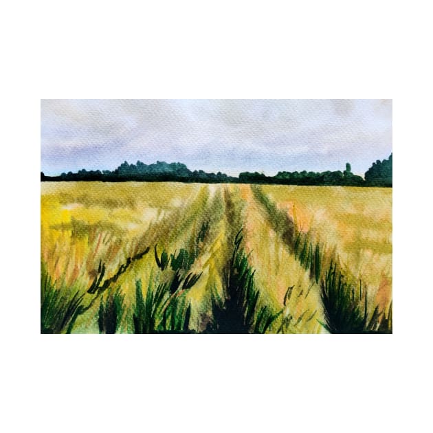 Fields of wheat in watercolours by Ala Lopatniov