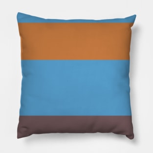 A smart combo of Carolina Blue, Mocha, Deep Taupe, Redwood and Dull Orange stripes. Pillow