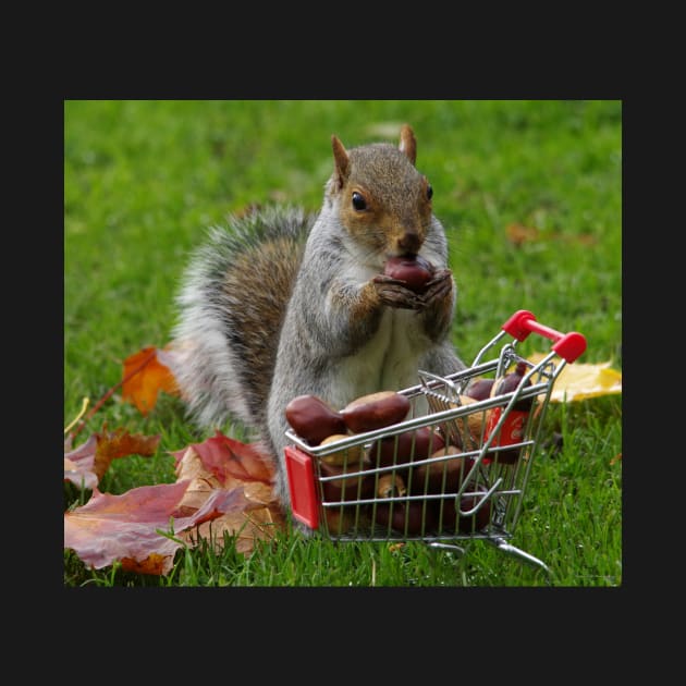 squirrel with shopping cart by Simon-dell