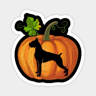 Boxer in pumpkin Magnet