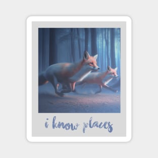 I know places aesthetic Magnet