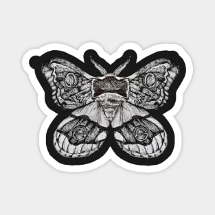 Pen and Ink Moth Magnet