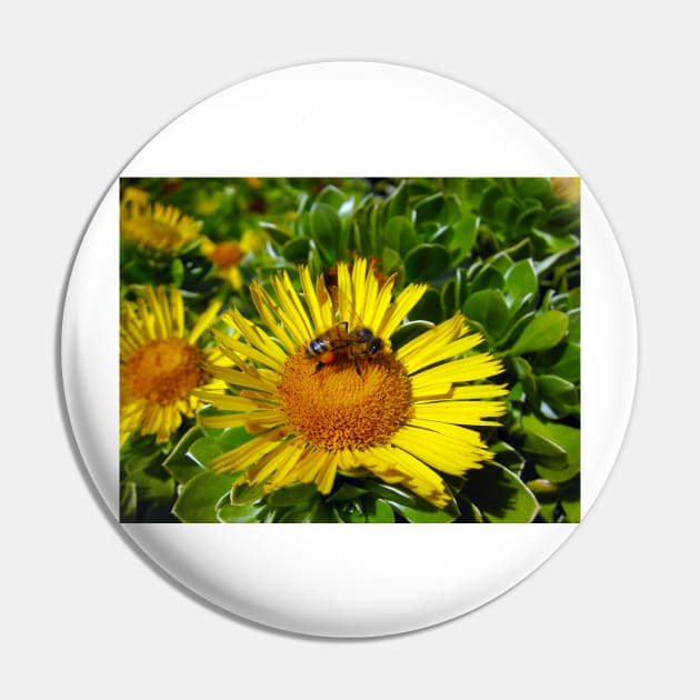 Bee On Sunflower Closeup Pin by BraaiNinja